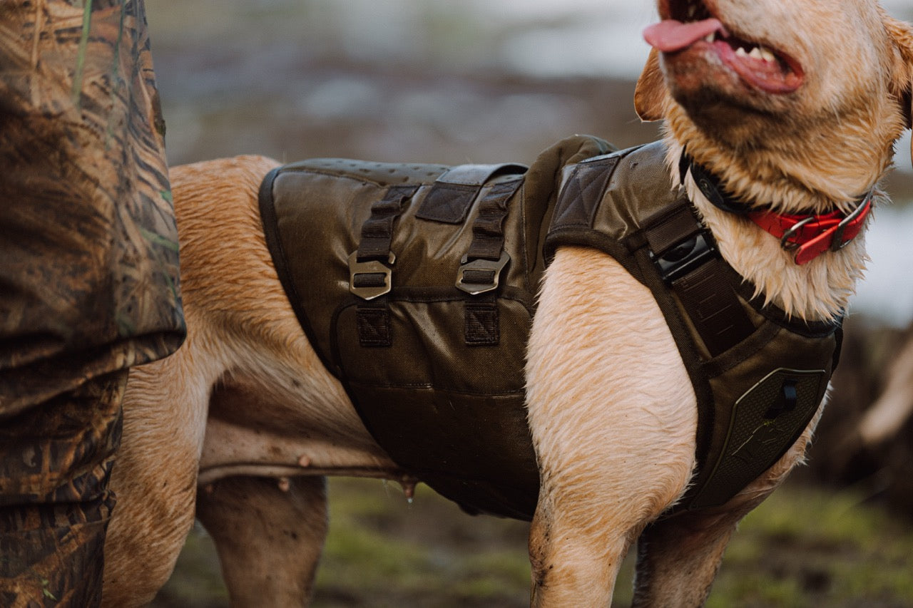 The Difference Between Neoprene and Ariaprene: What’s Best for Hunting Dogs?