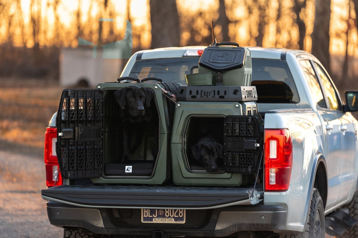 Behind the Color: Reelfoot Flyway Series Collection