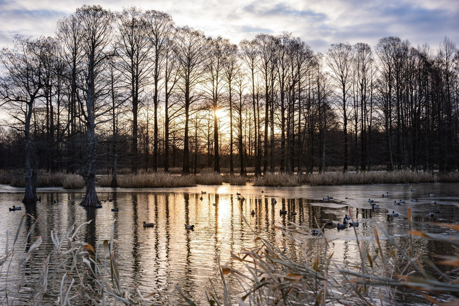 The Legend of the Lake: Reelfoot Flyway Series Collection
