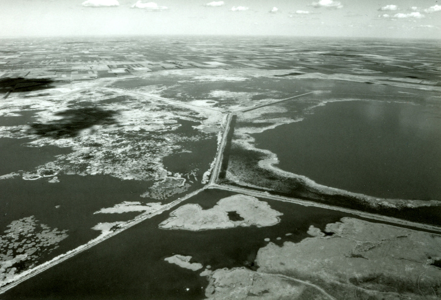 The Last Great Marsh | Cheyenne Bottoms
