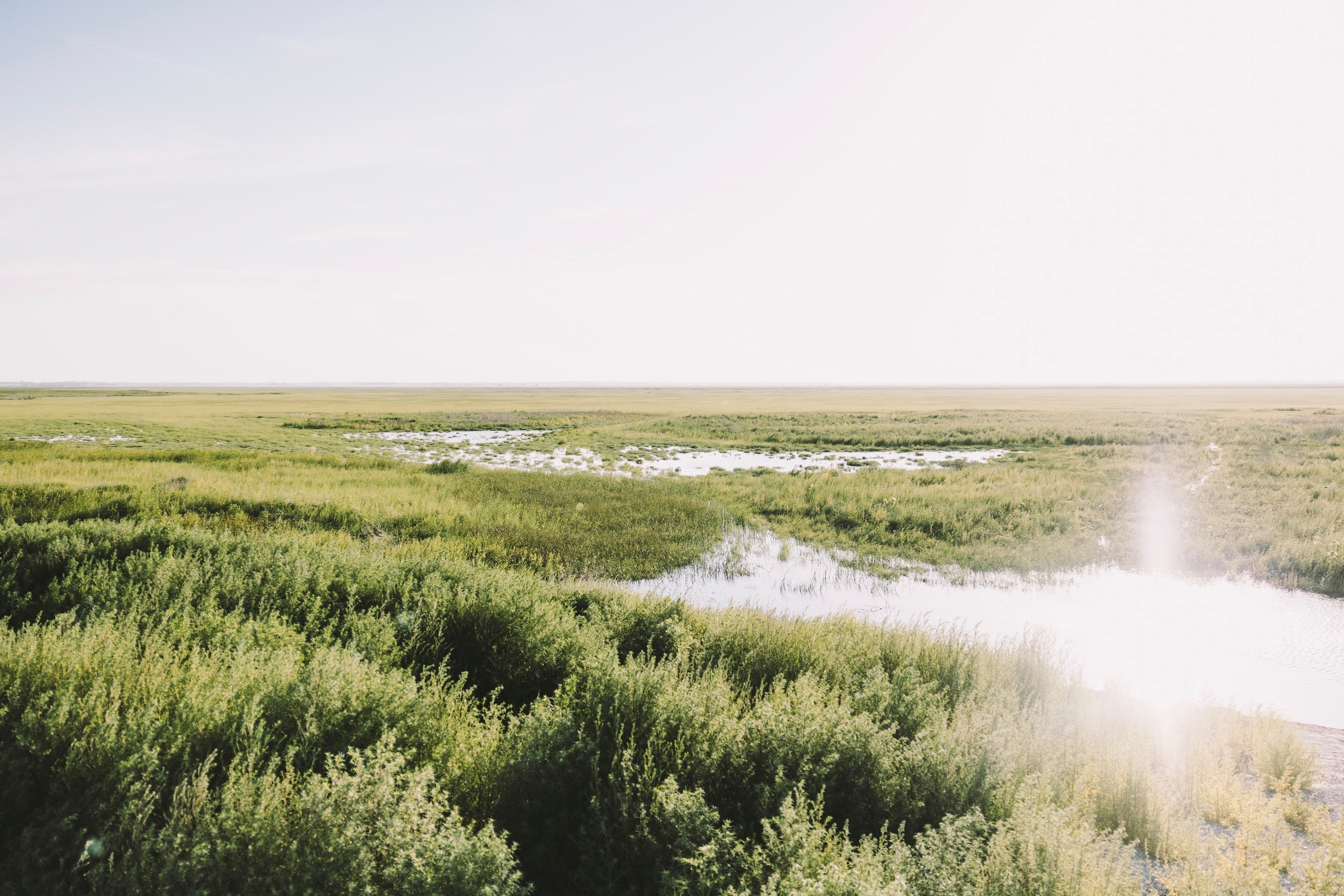 Connecting the Central Flyway | Cheyenne Bottoms