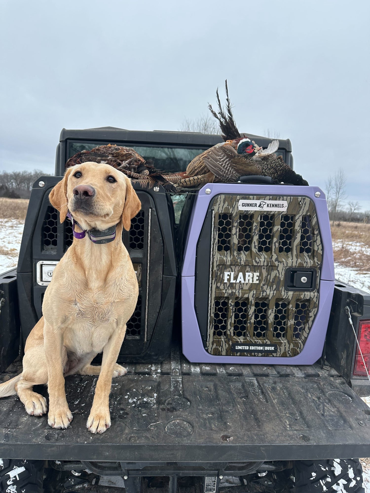 A First Hunt, a Strong Foundation, and a Dog Worth the Work | Grace & Flare #GunnerDogs