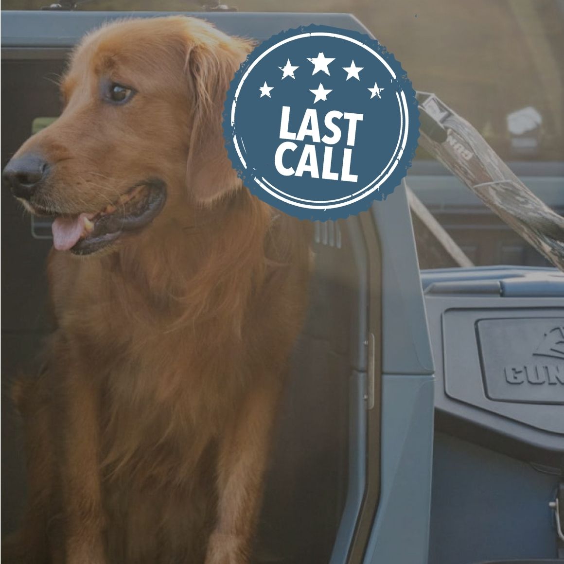 A golden retriever, possibly a working dog, sits in the open doorway of a vehicle. A blue circular stamp with stars and the text LAST CALL partially covers the dog’s head.