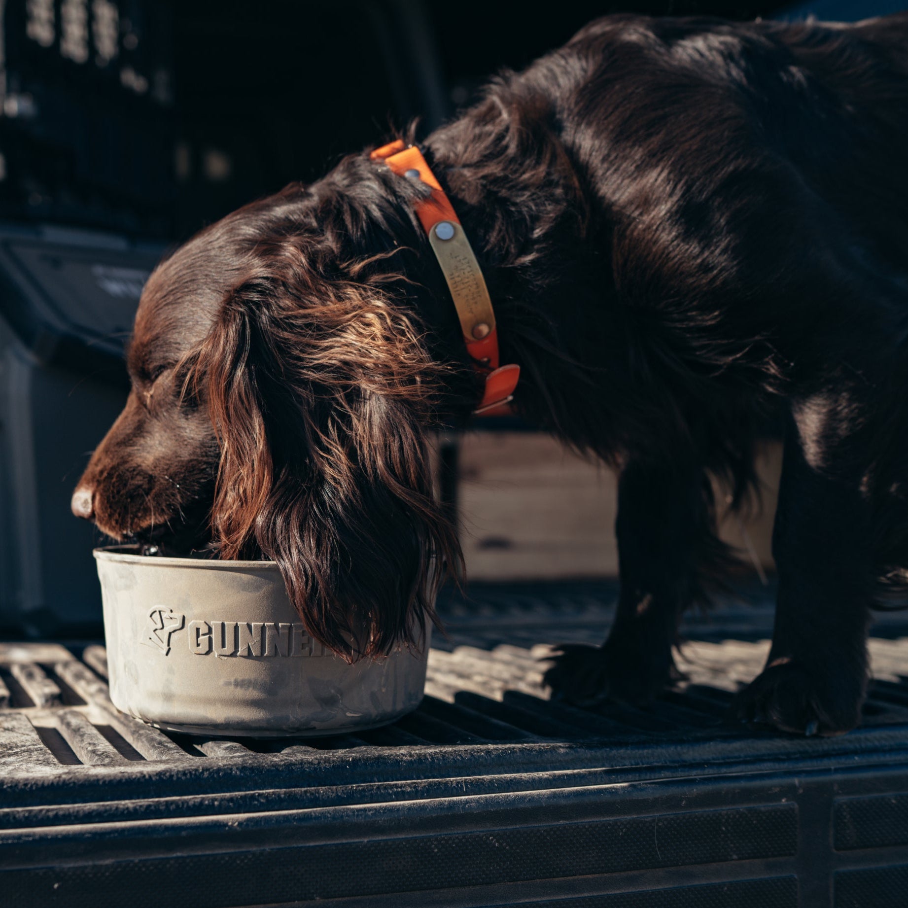 GUNNER DOG BOWL - GUNMETAL