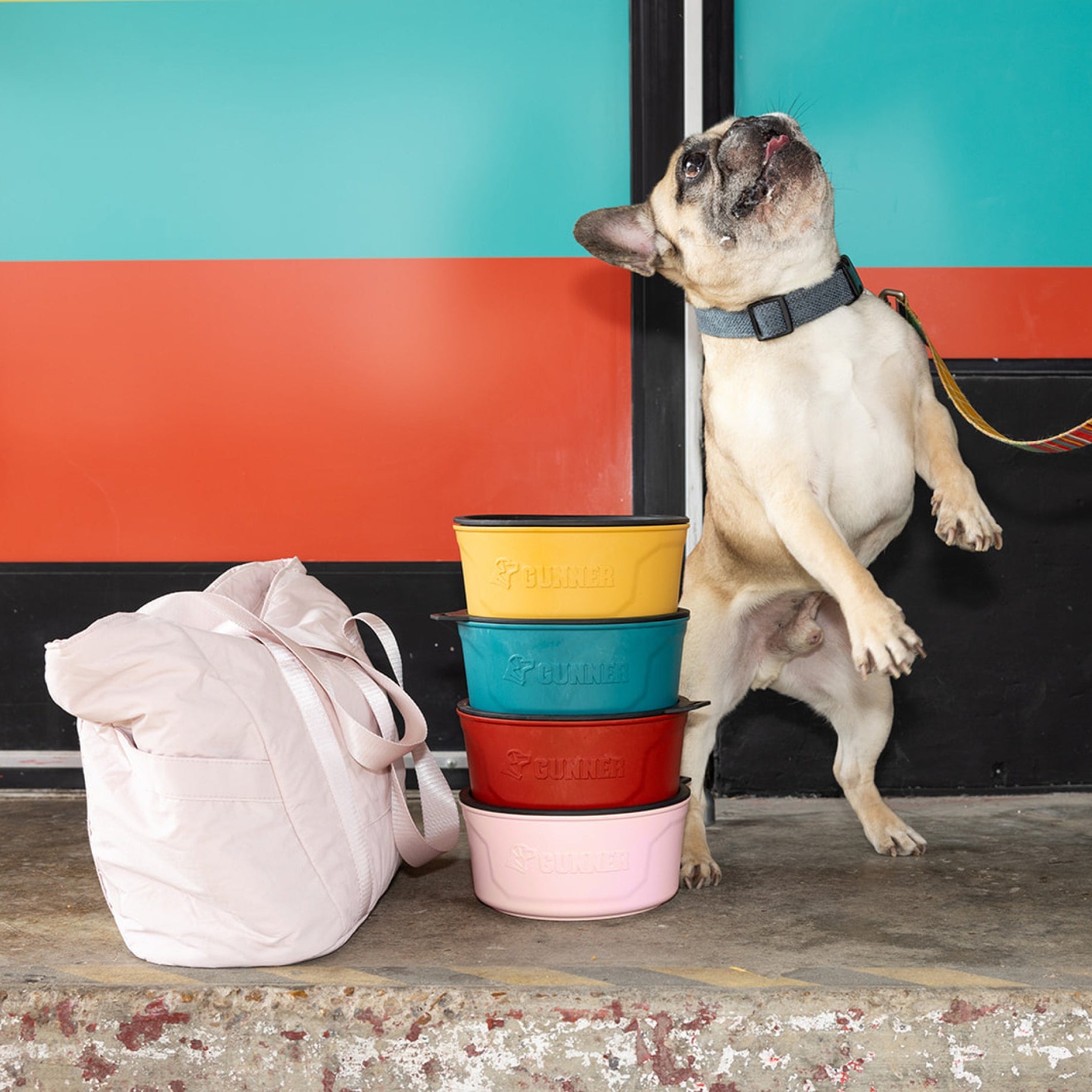 GUNNER DOG BOWL - Pink