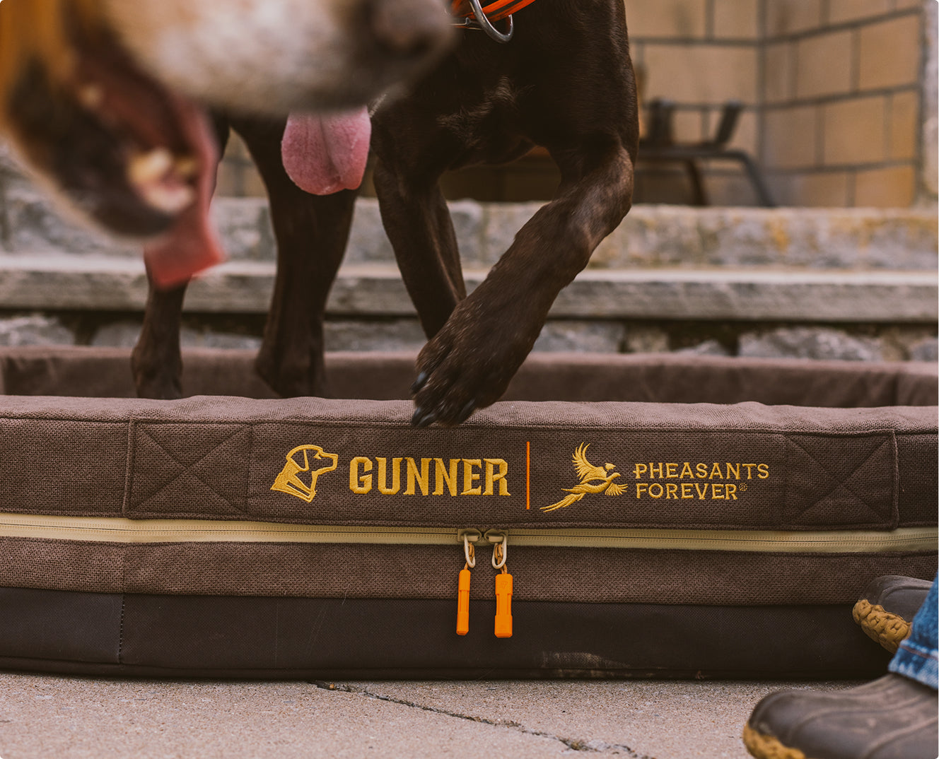 Dog bed with 'Gunner' and 'Pheasants Forever' branding, dog standing nearby.