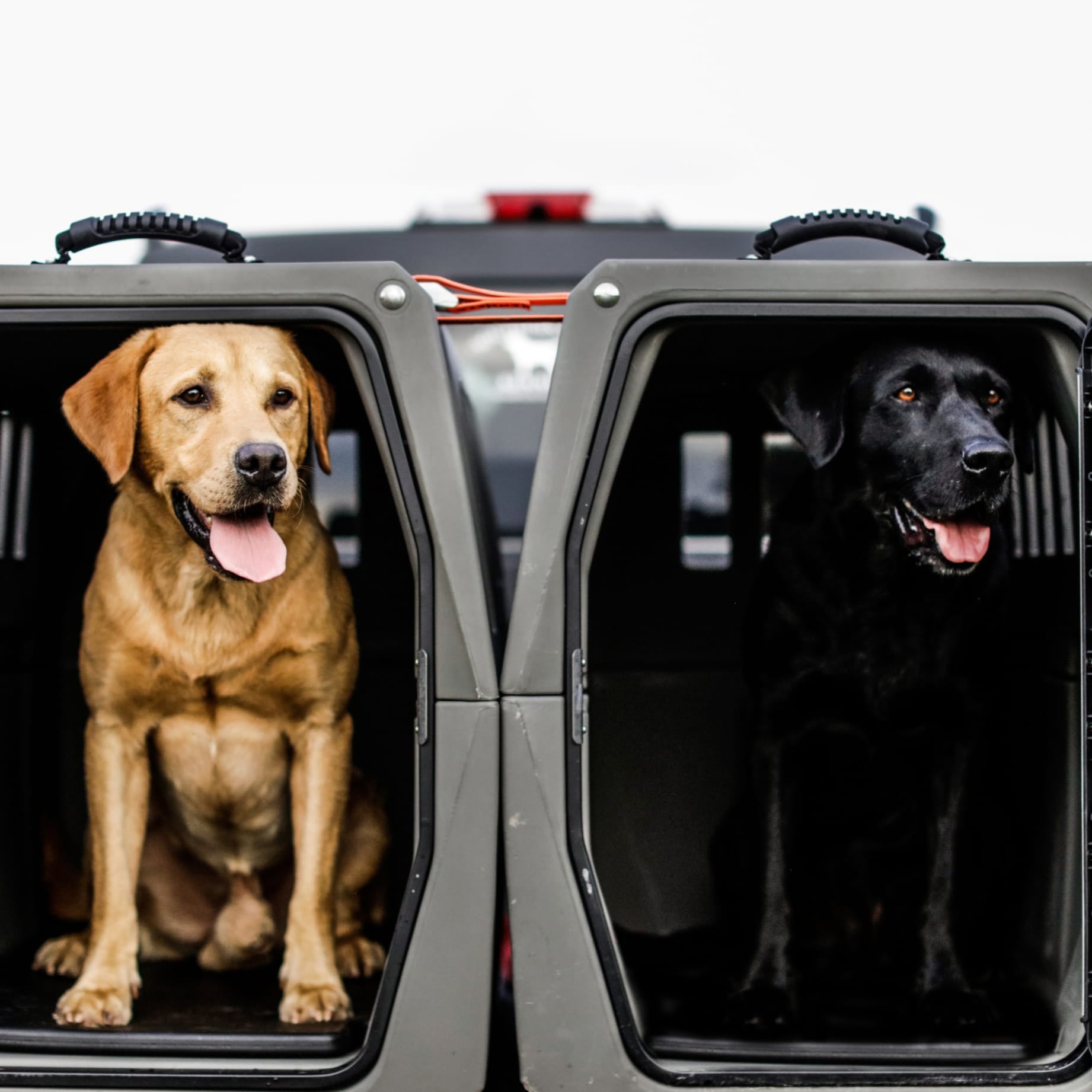 G1™ KENNEL - GUNMETAL