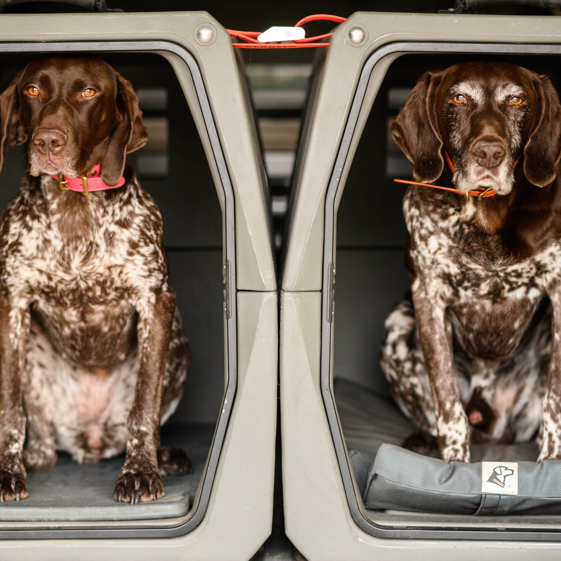 G1™ KENNEL - TAN