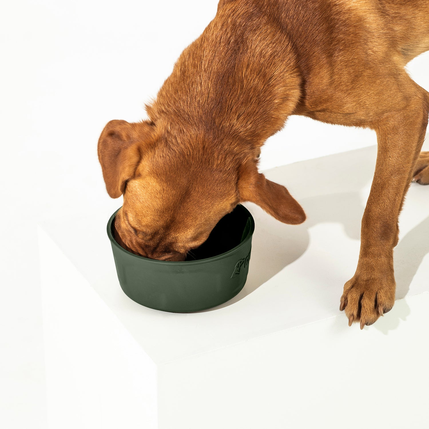 GUNNER DOG BOWL - Reelfoot