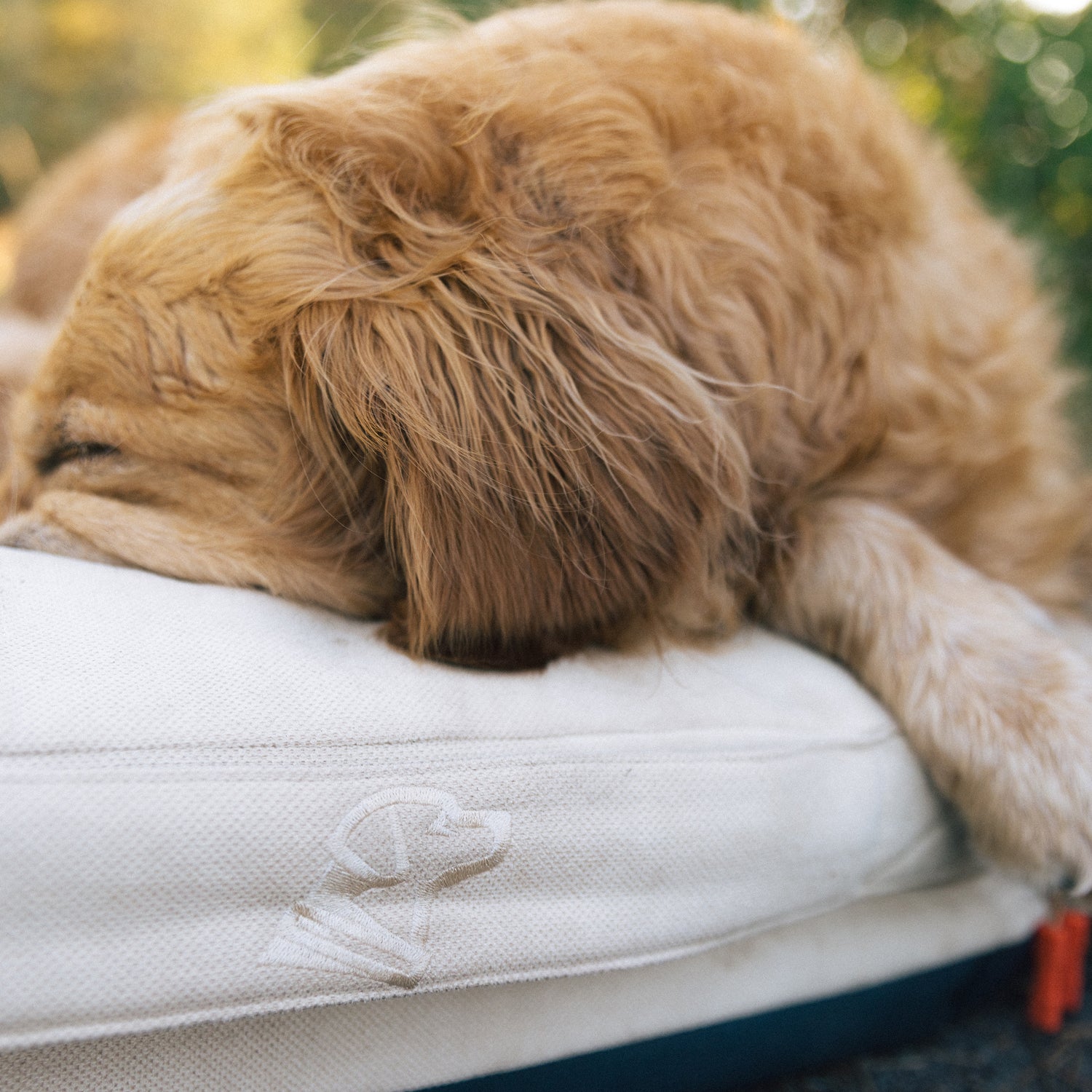 HOMESTEAD DOG BED White Oak