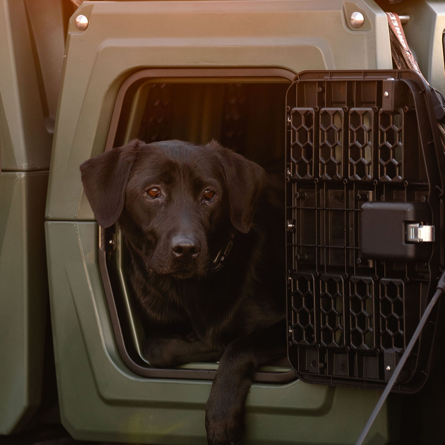 G1™ KENNEL - Reelfoot