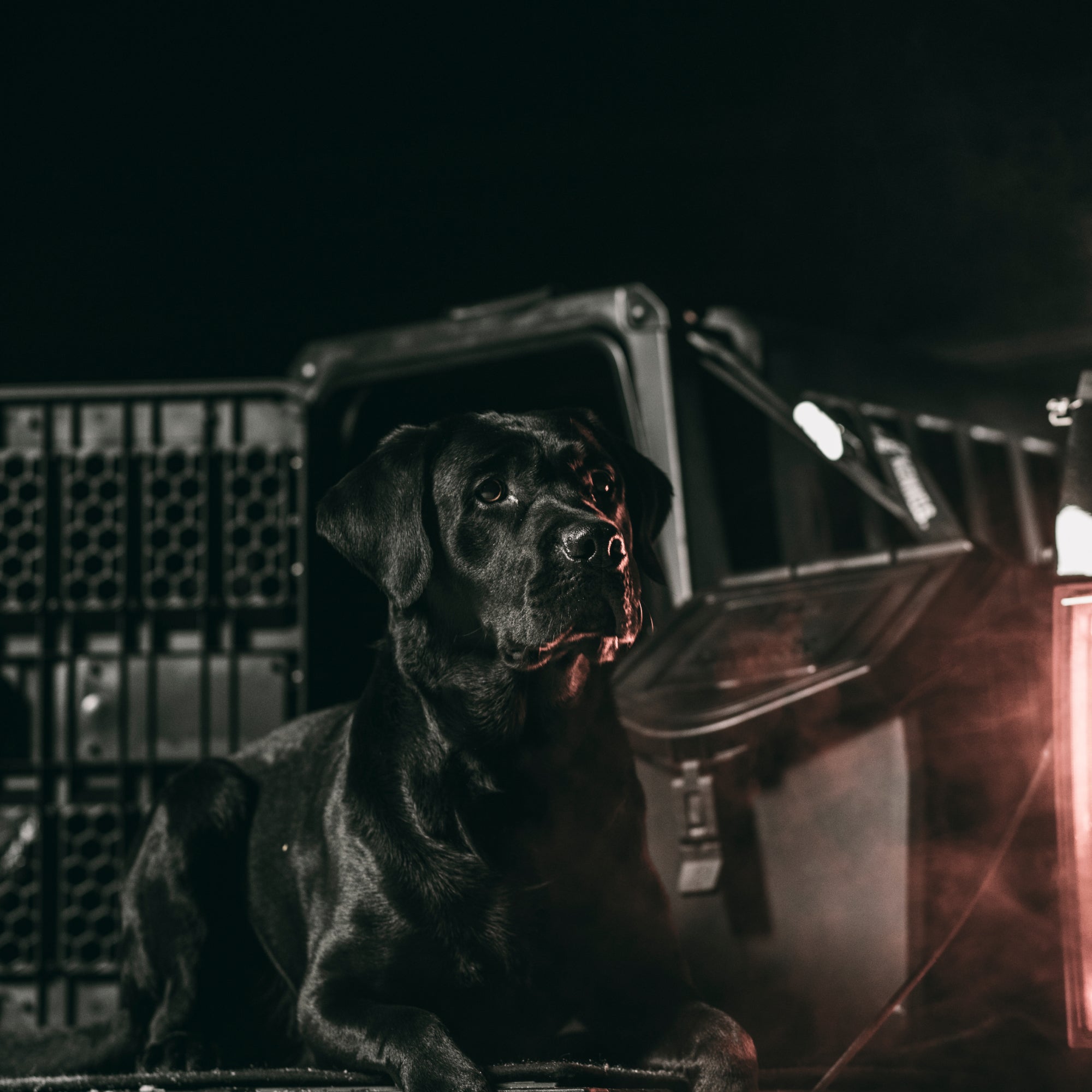 G1™ KENNEL - BLACK