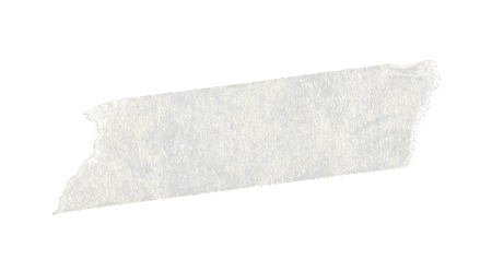 A single piece of torn white masking tape, often used for labeling outdoor gear or a dog crate, is placed diagonally on a plain, light gray background.