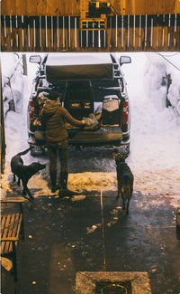 A person stands behind a pickup truck parked in a snowy driveway, loading or unloading gear, while two working dogs stand nearby inside an open garage. Snowbanks line the driveway outside.