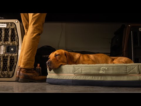 INTRODUCING THE HOMESTEAD DOG BED | GUNNER