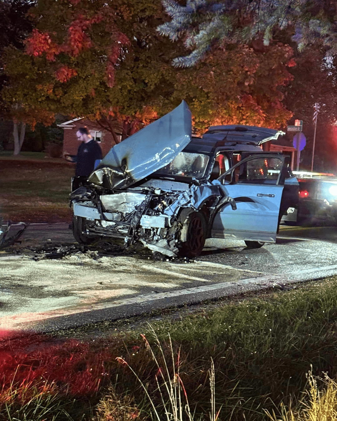 Dog Safe In Head-On Collision