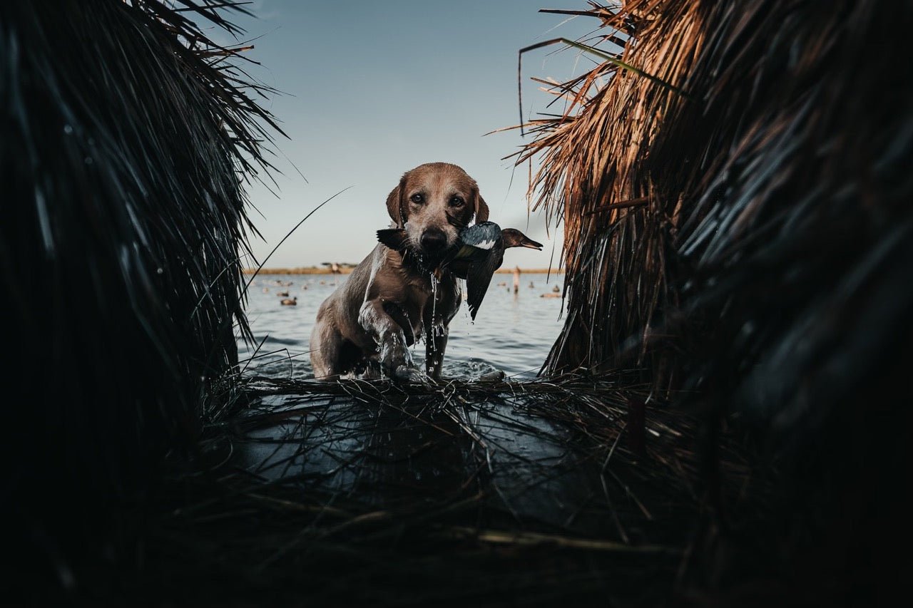 Stories From Anahauc: John & Nixon #GUNNERDOGS | GUNNER Flyway Series