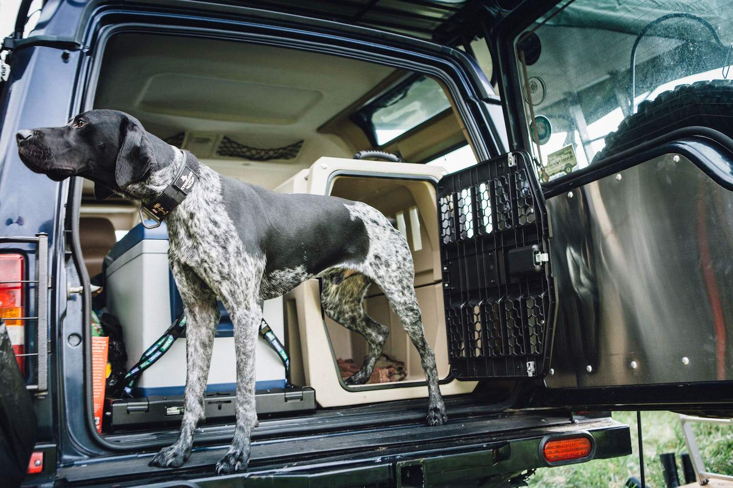 The World’s Best and Most Durable Dog Crate