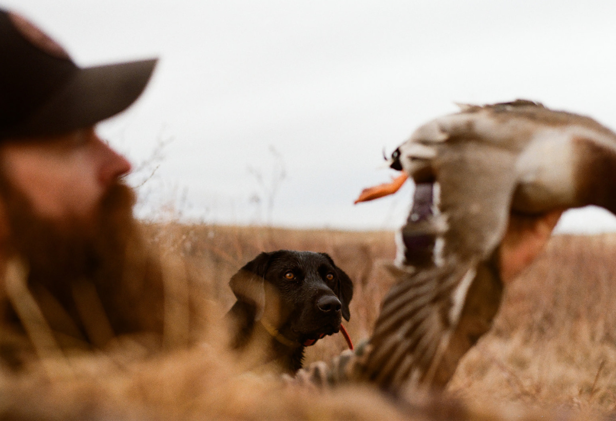 More Than a Marsh: What Cheyenne Bottoms Means to Fowl Plains