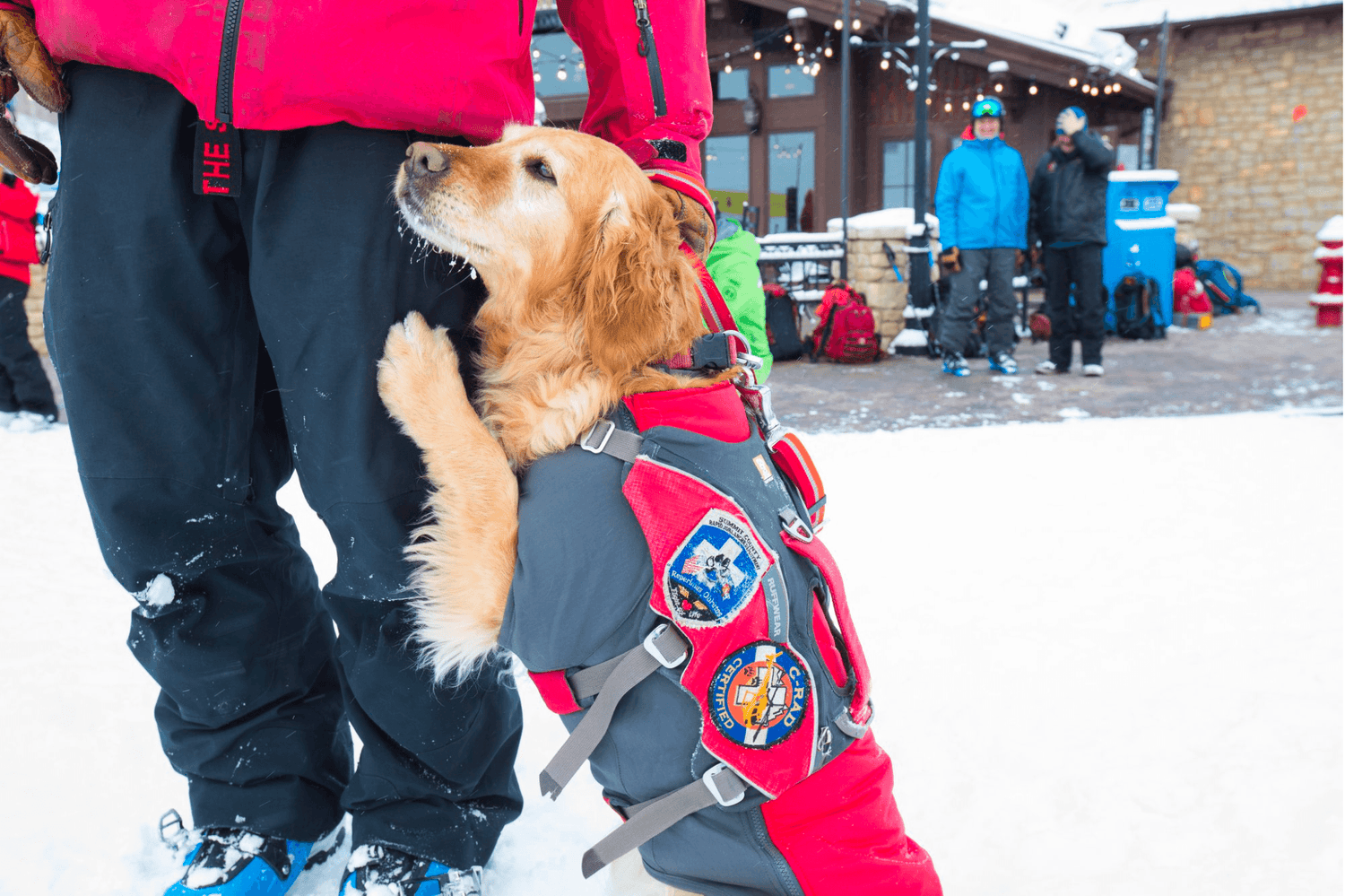 #GunnerDogs: John and Recco | GUNNER x C-RAD