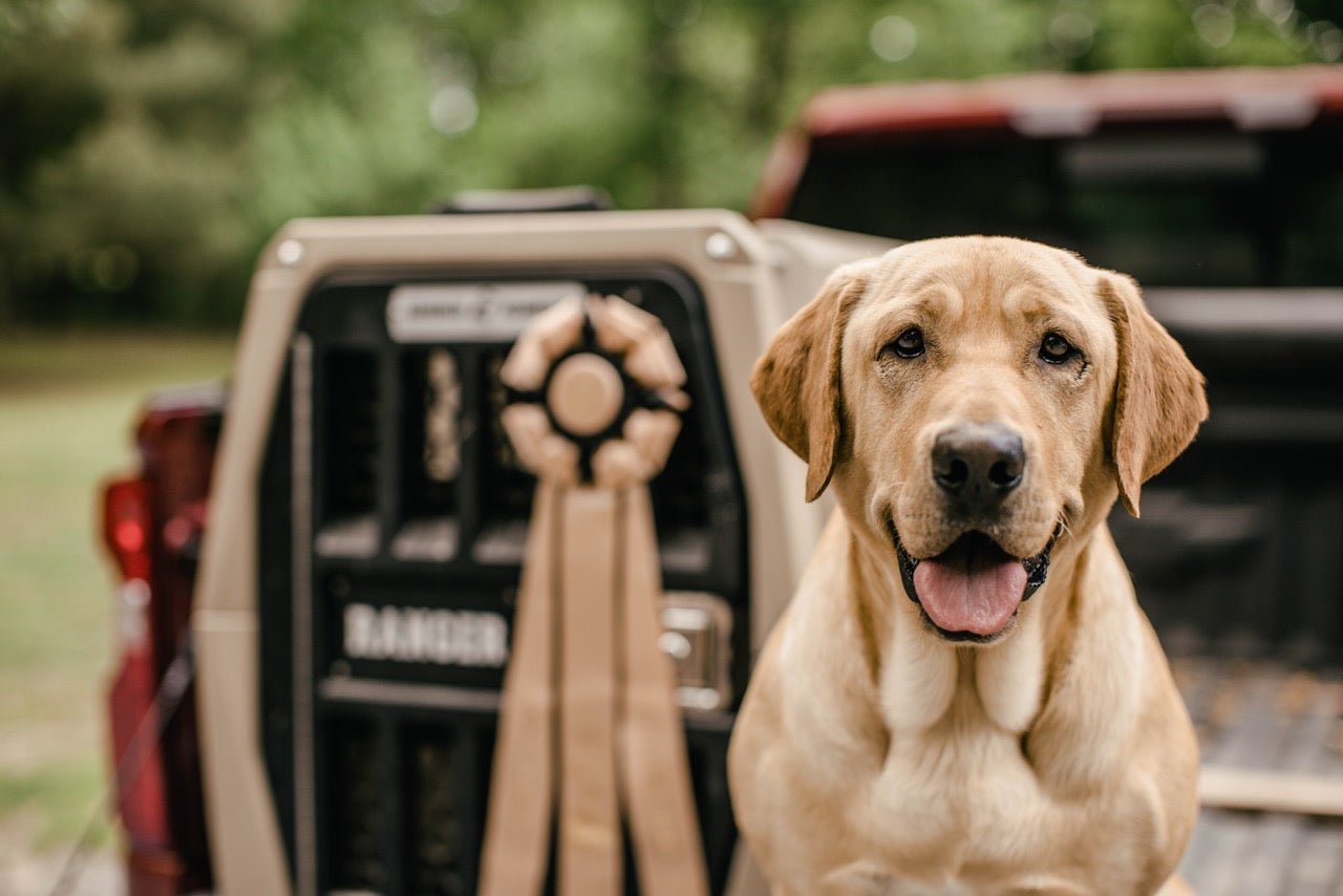 Ranger's Story | Gunner Dogs