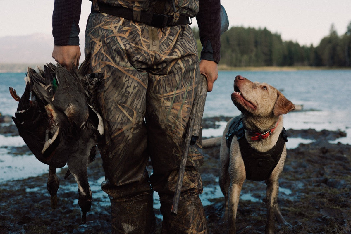 7,000 Miles of Ducks | #GunnerDogs