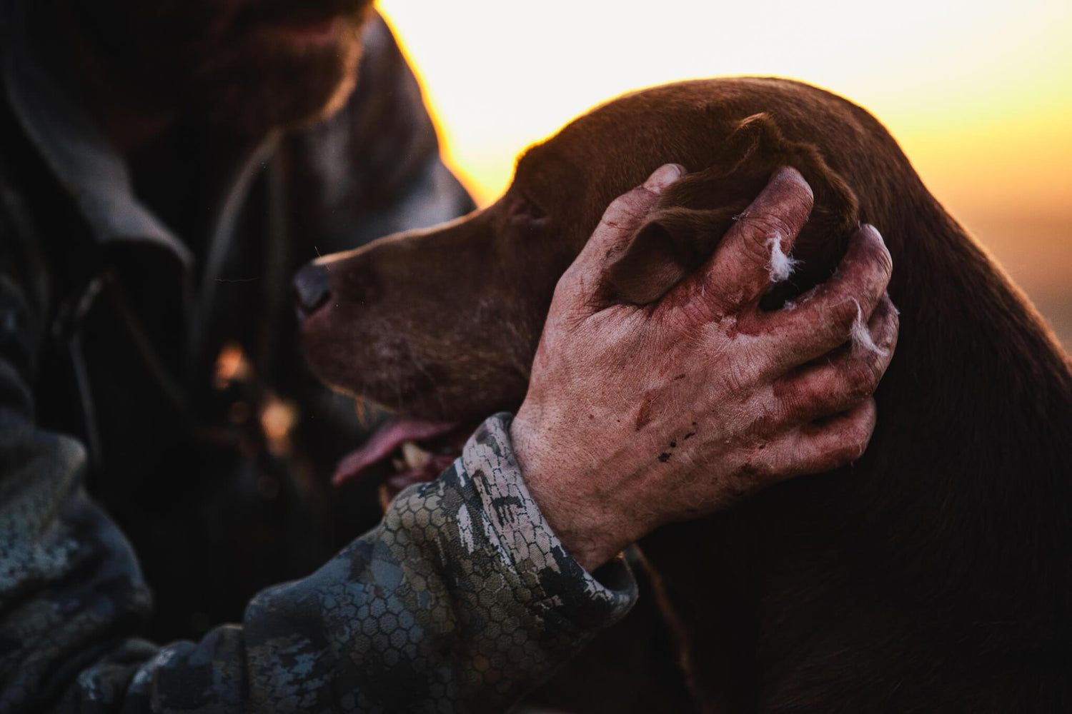 Hunting Season Nutrition: How to Properly Fuel your Gundog