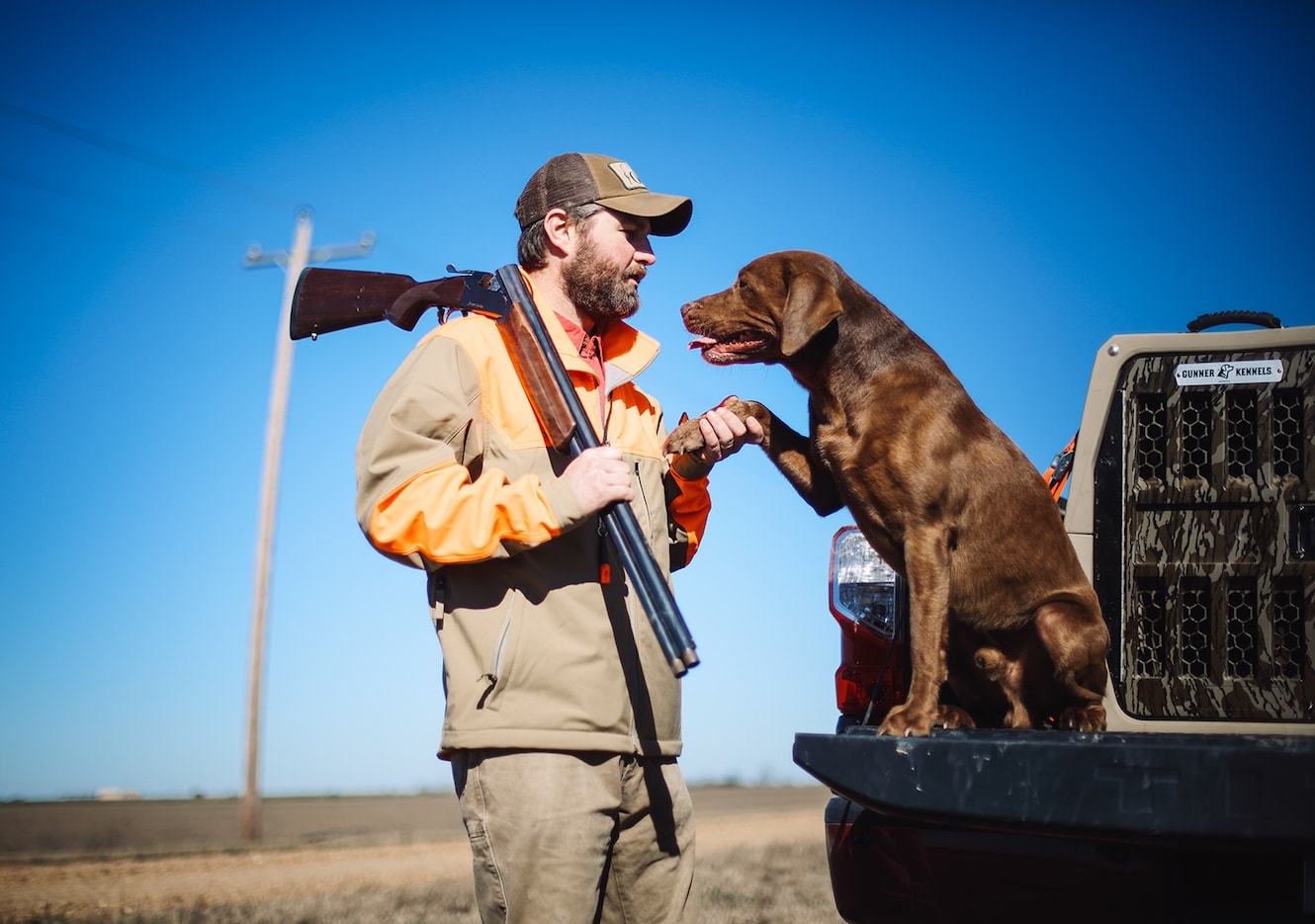 How to Prepare an Older Dog For Dove Hunting Season