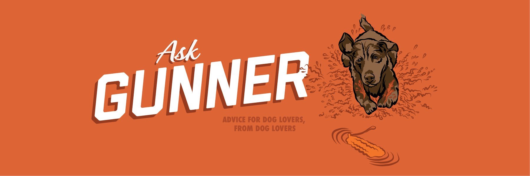 Teach Your Dog the Kennel Command | Ask Gunner