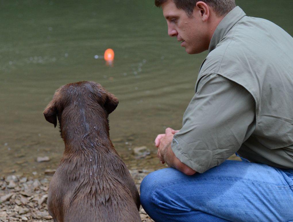 Cross-Fit Training the Wildrose Labrador