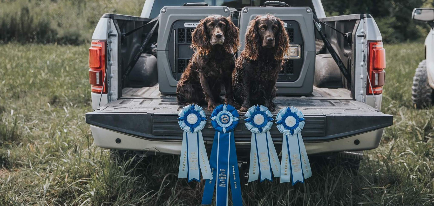 Getting Started With Hunting Retriever Club (HRC) photo