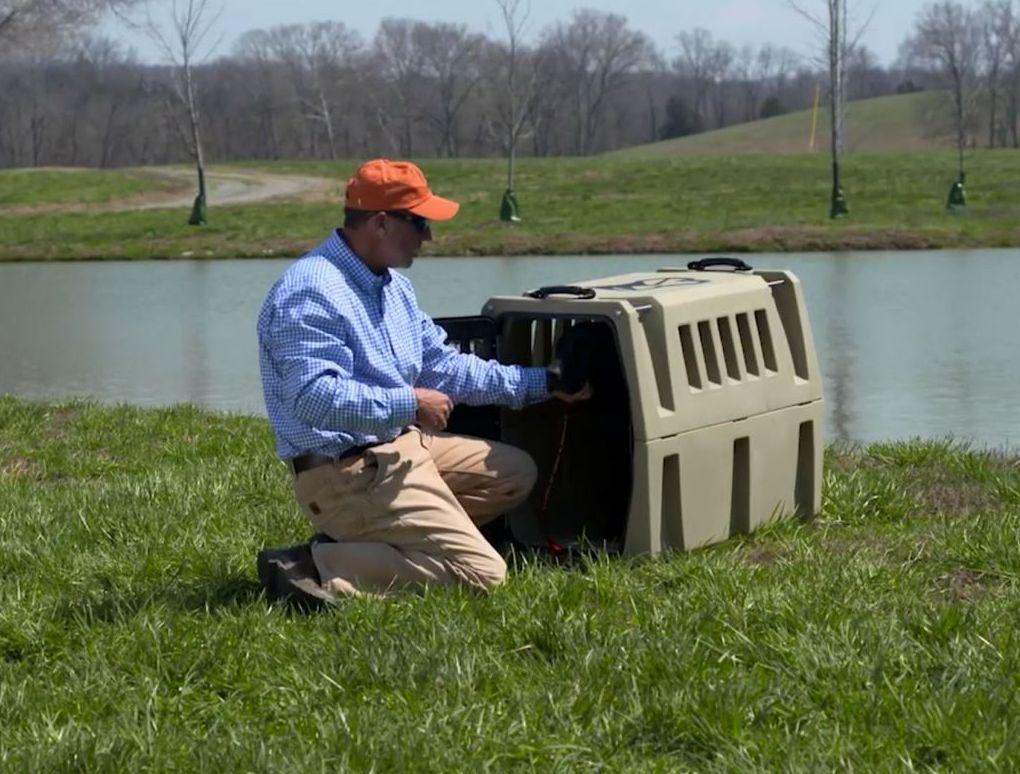 Crate Training Schedule For A Puppy