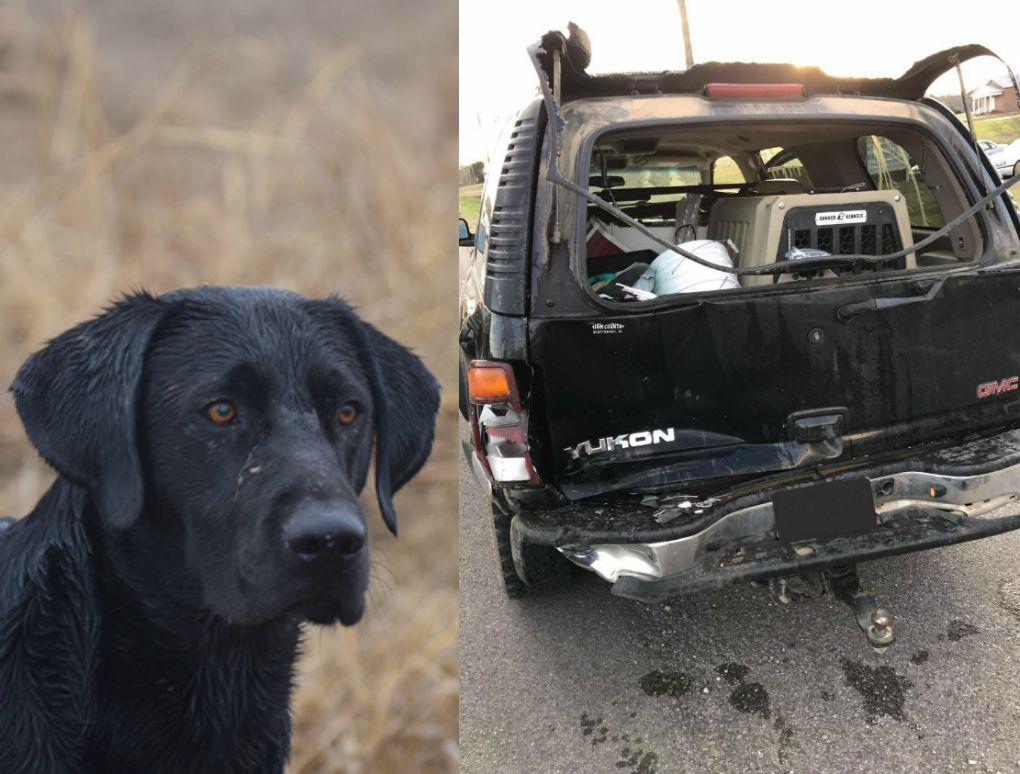 Dog Crate VS F150 at 50MPH: Crash-Tested