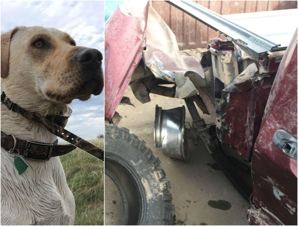 How A Gunner Dog Crate Survived A Bridge Car Crash