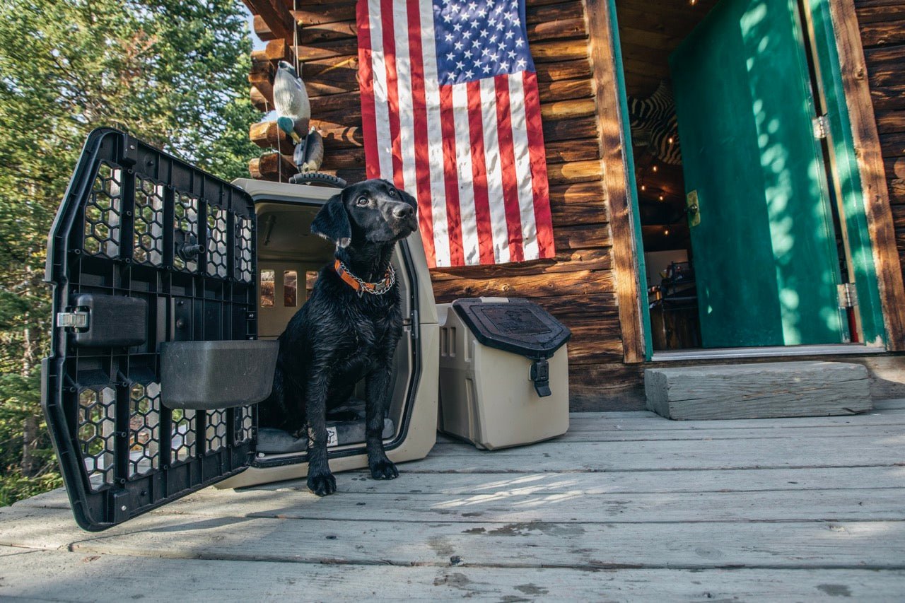 Fireworks And Grilling Safety Tips to Keep Dogs Safe