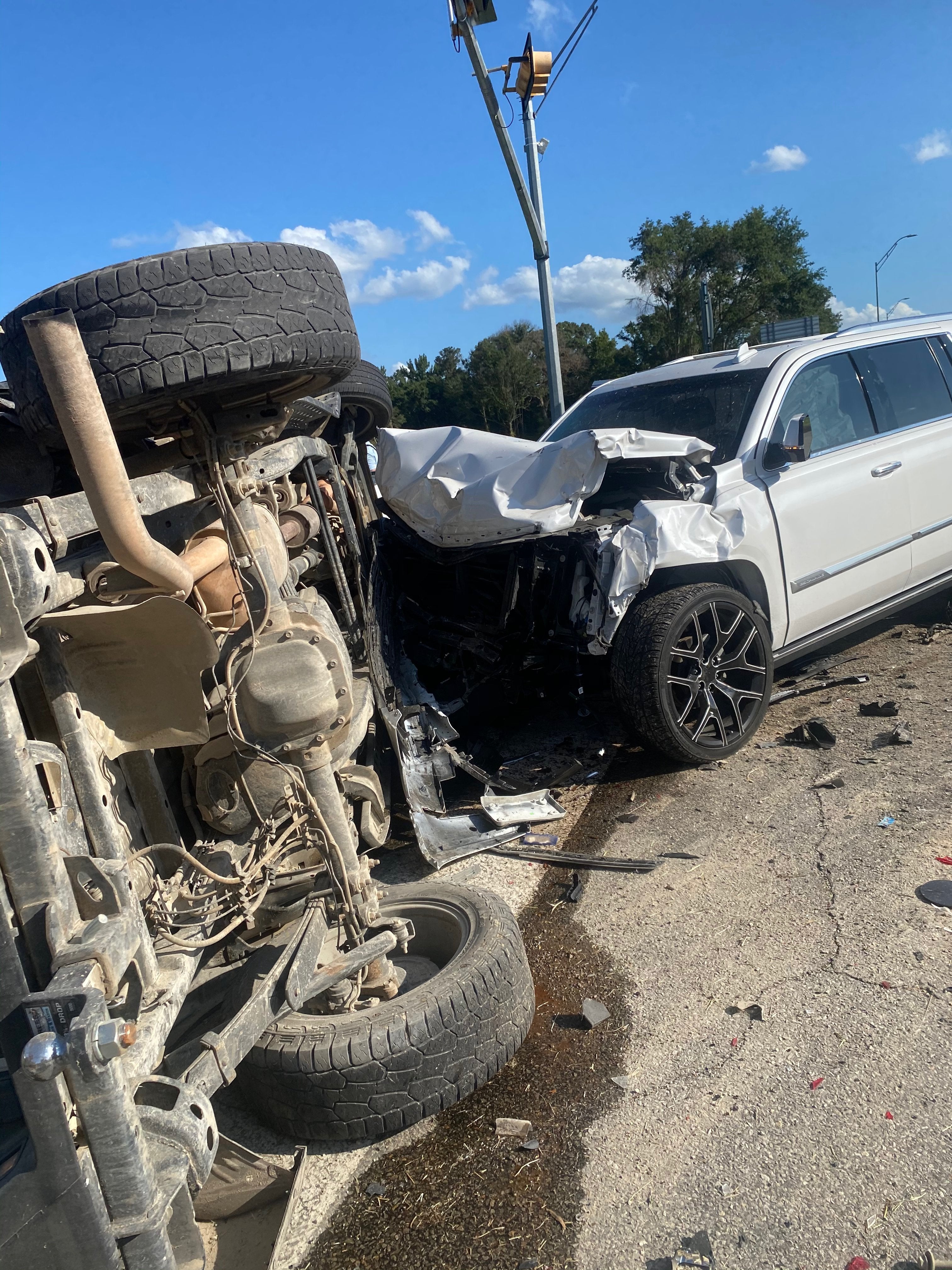 T-Boned at 70mph... But My Dogs are Safe