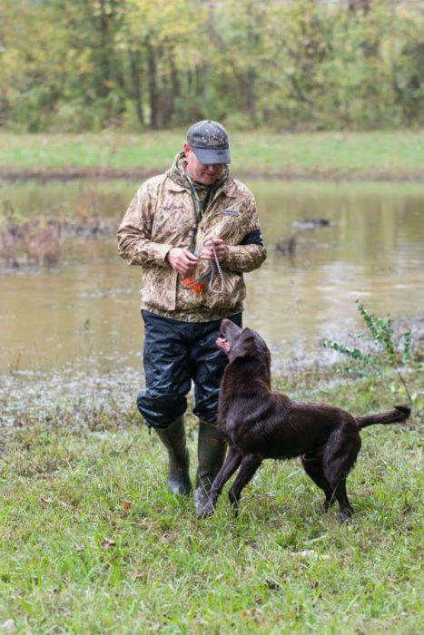 The Story of a Dog in the AKC Hall of Fame