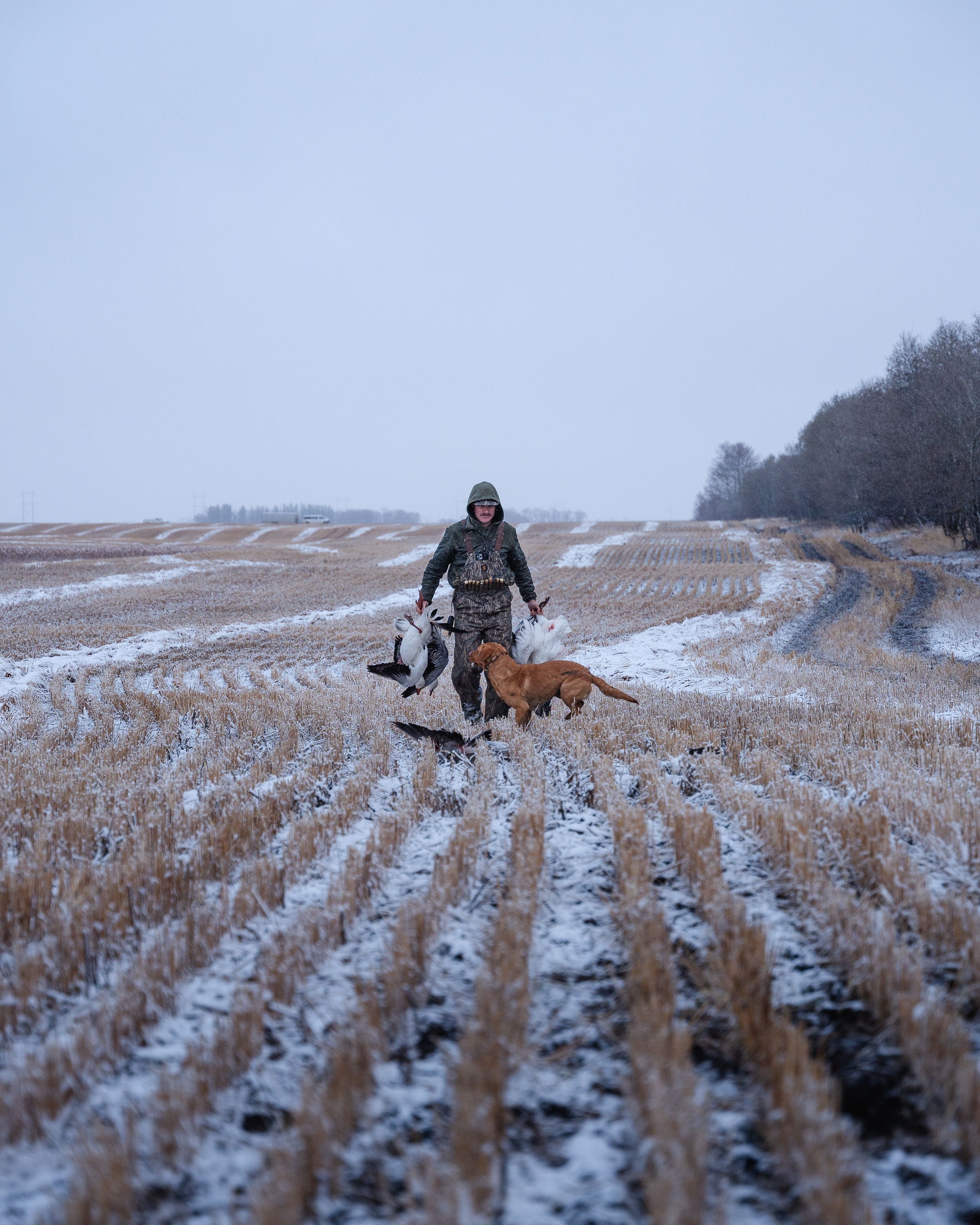 Gunner's Legacy in Saskatchewan