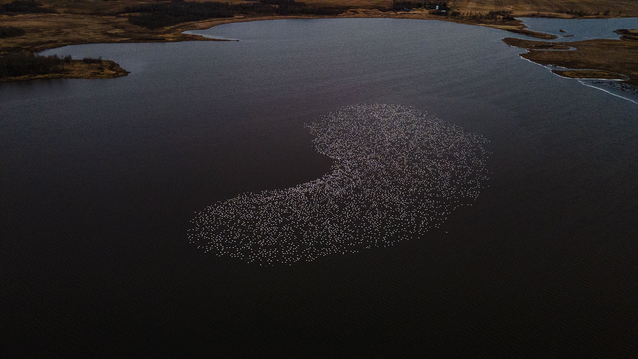 Saskatchewan’s Wetland Conservationists