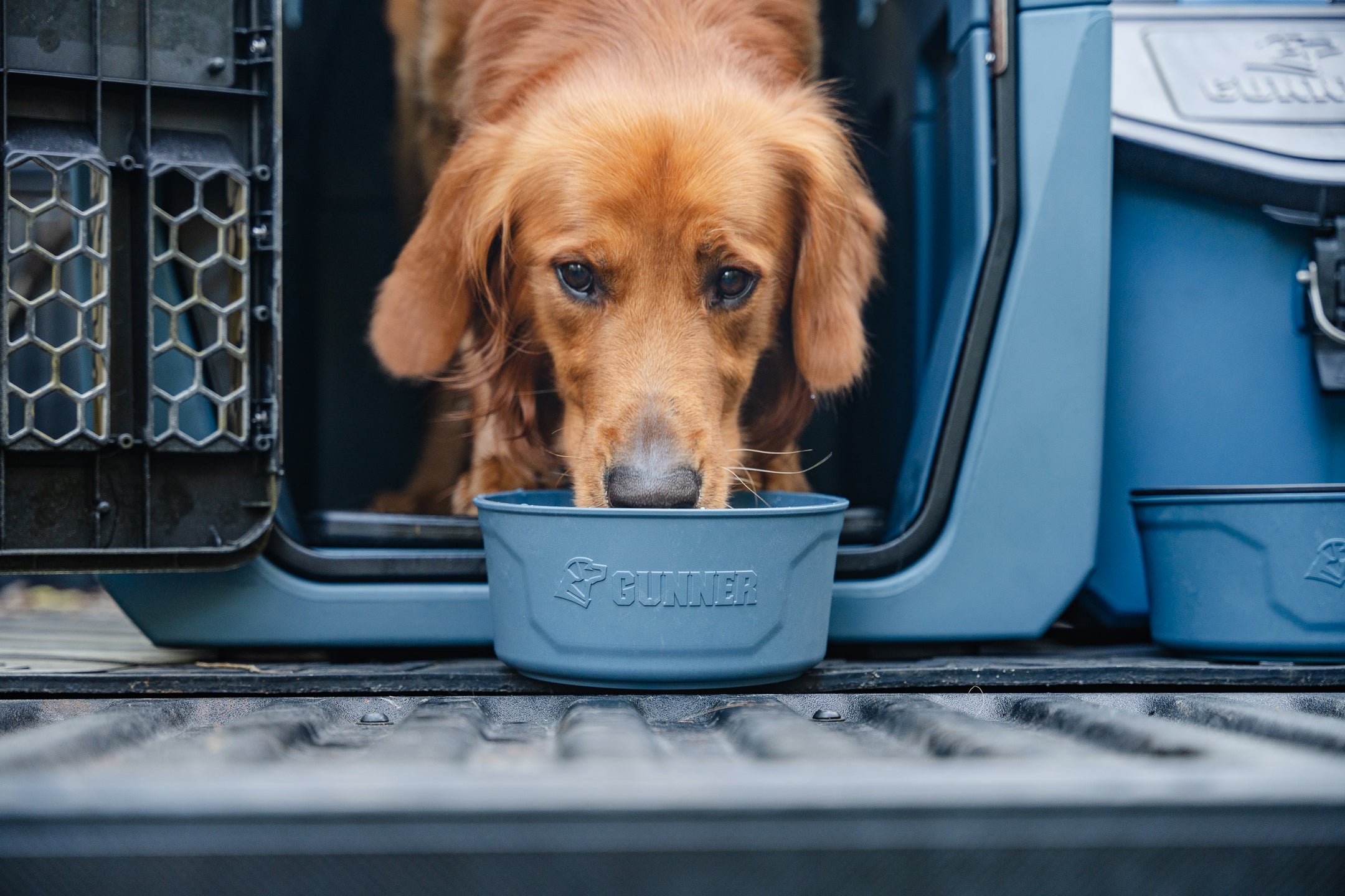 Hunting Public Lands | #GunnerDogs