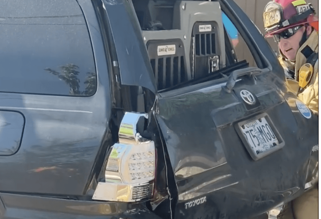 Jaws of Life Dogs Vehicle Wreck Dog Crate