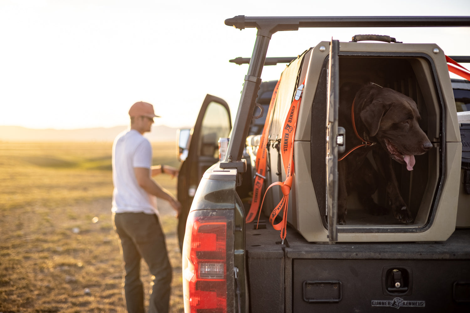 Why Do Kennel Tie-Down Straps Matter?