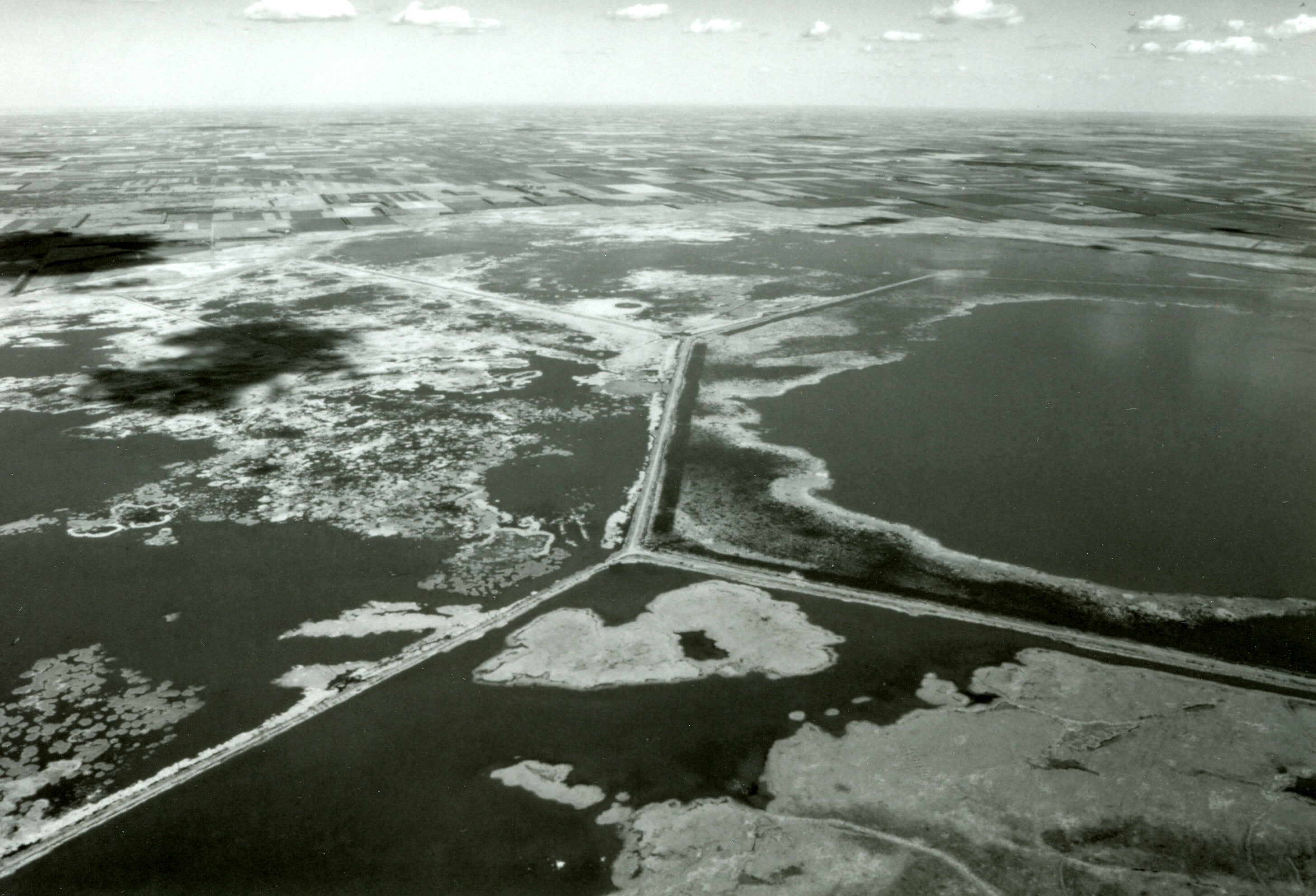 The Last Great Marsh | Cheyenne Bottoms