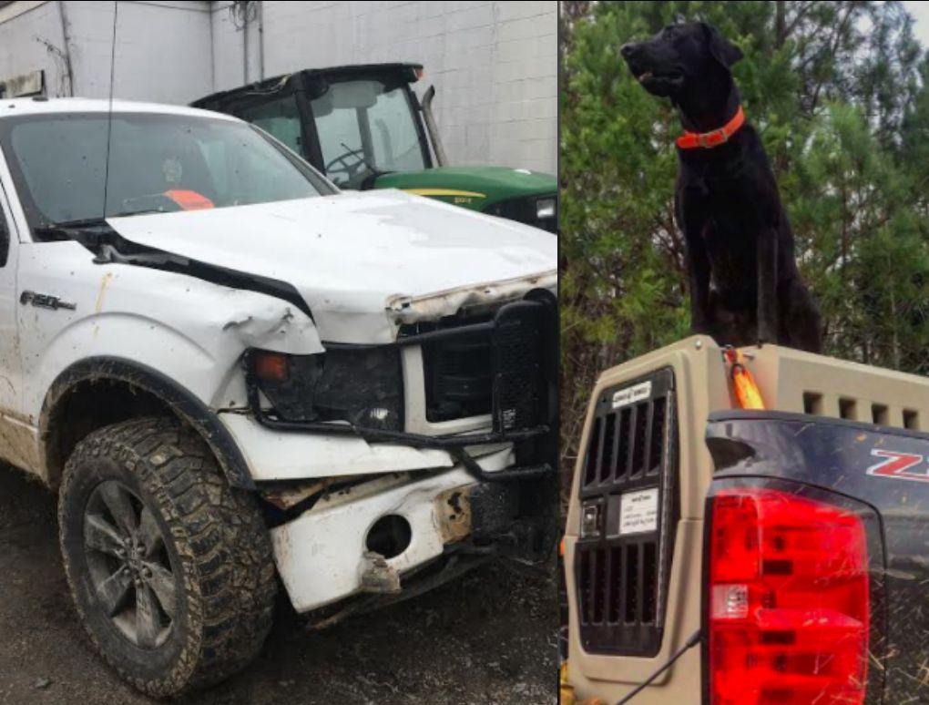 Gunner Dog Crate Saves Lab’s Life