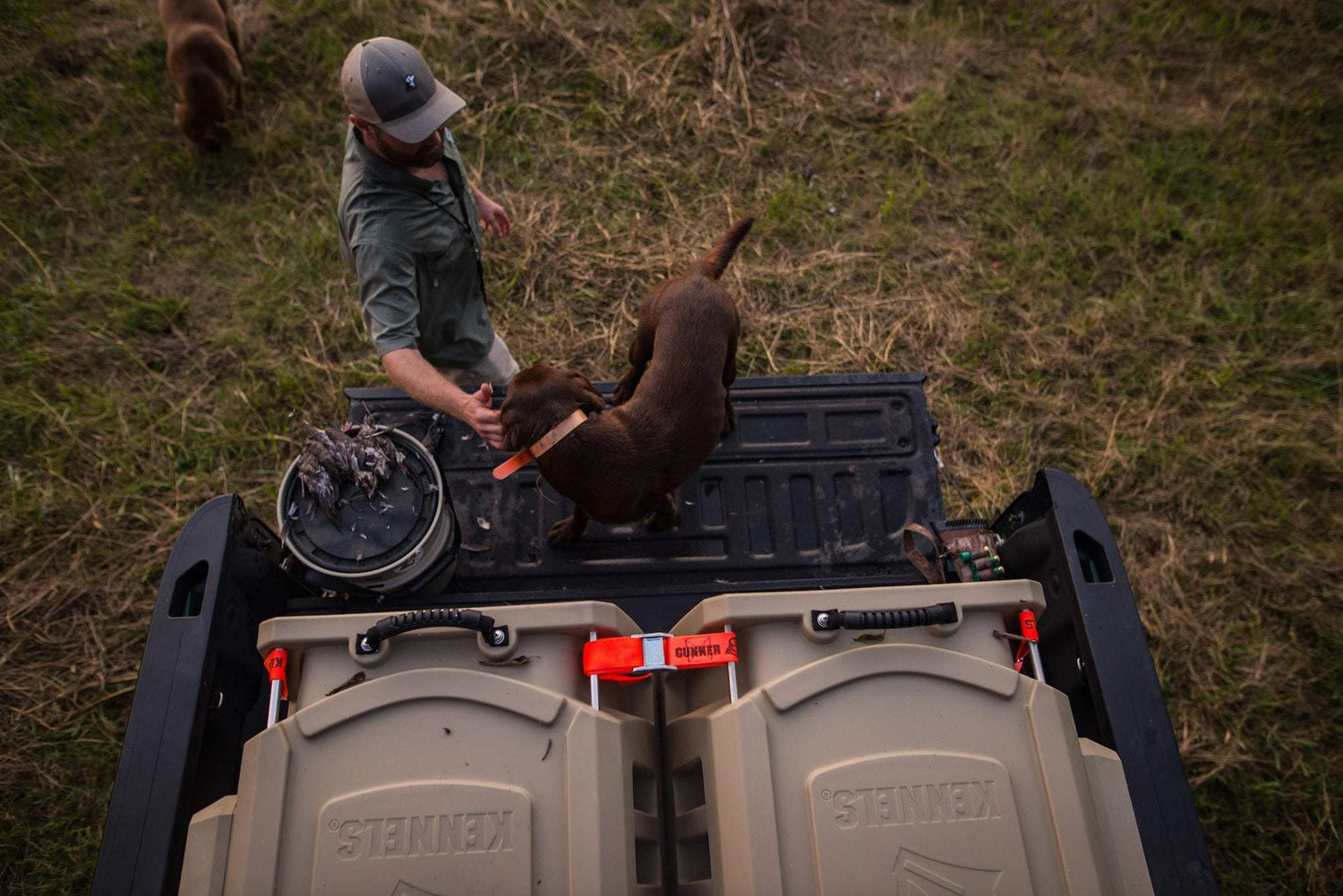 Southern Tradition Of Dove Hunting