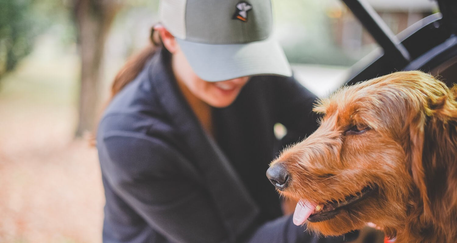 Bring Your Dog to Work Day