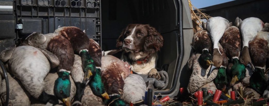 Semi-Truck VS Gunner Dog Crate