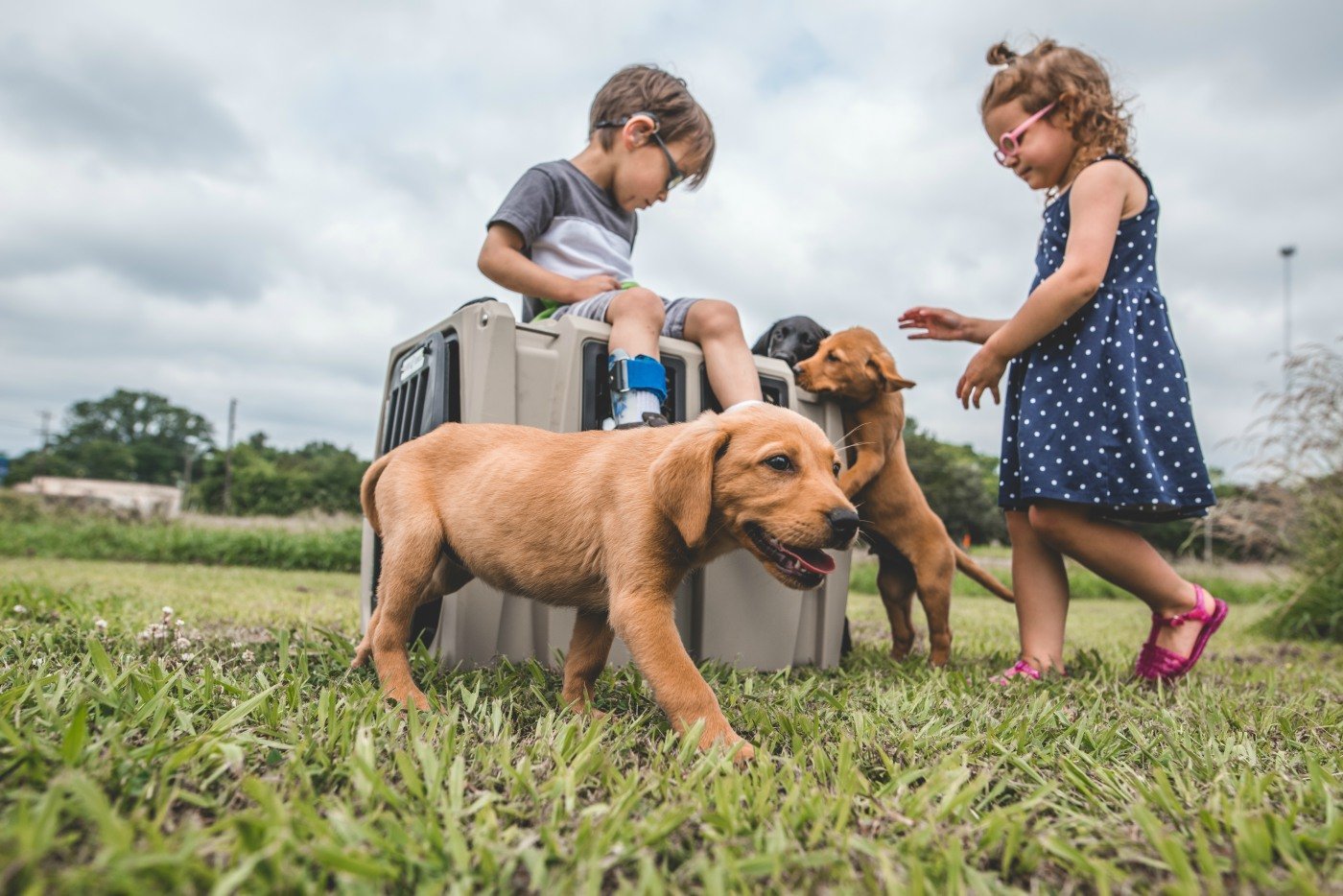 There Are Health Benefits of Owning A Dog