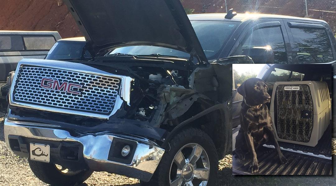 A Cow and a GMC Denali Dually versus Crash Proof Dog Crate