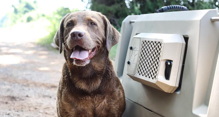 Dog Crate Fans to Prevent Heat Stroke